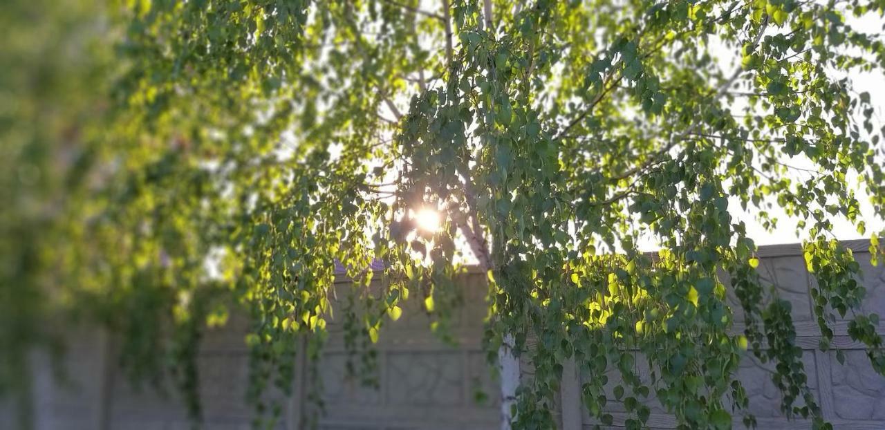 Котеджі Арлен Dyjda Exteriér fotografie